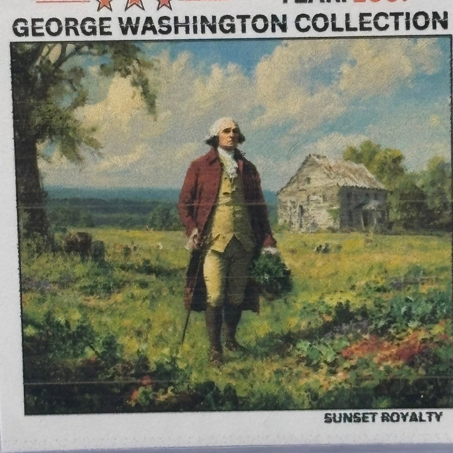 2007 Quarter - George Washington Collection
