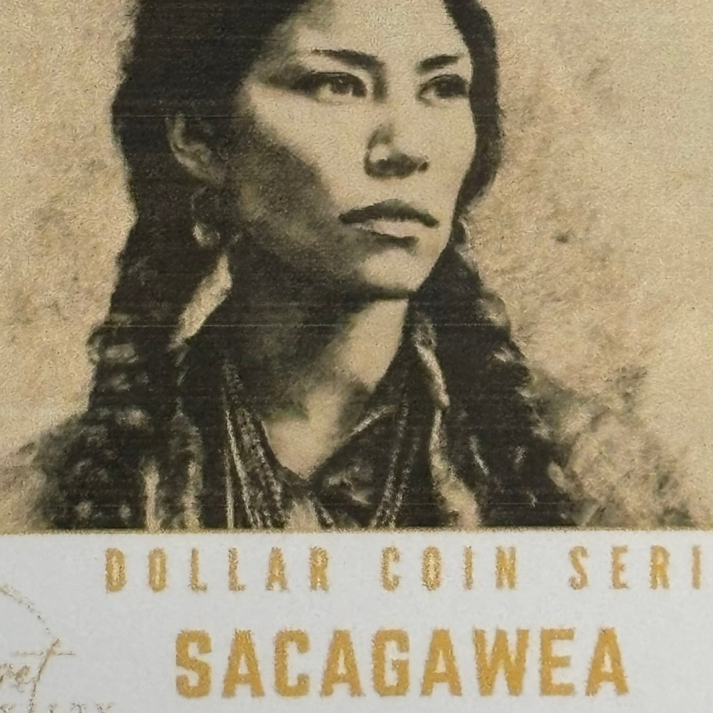 2007 U.S Dollar - Sacagawea Collection