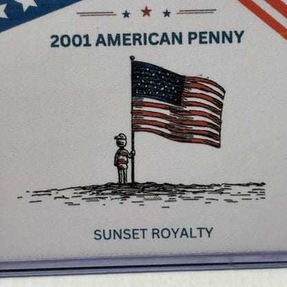 2001 Penny - American Coin Collection