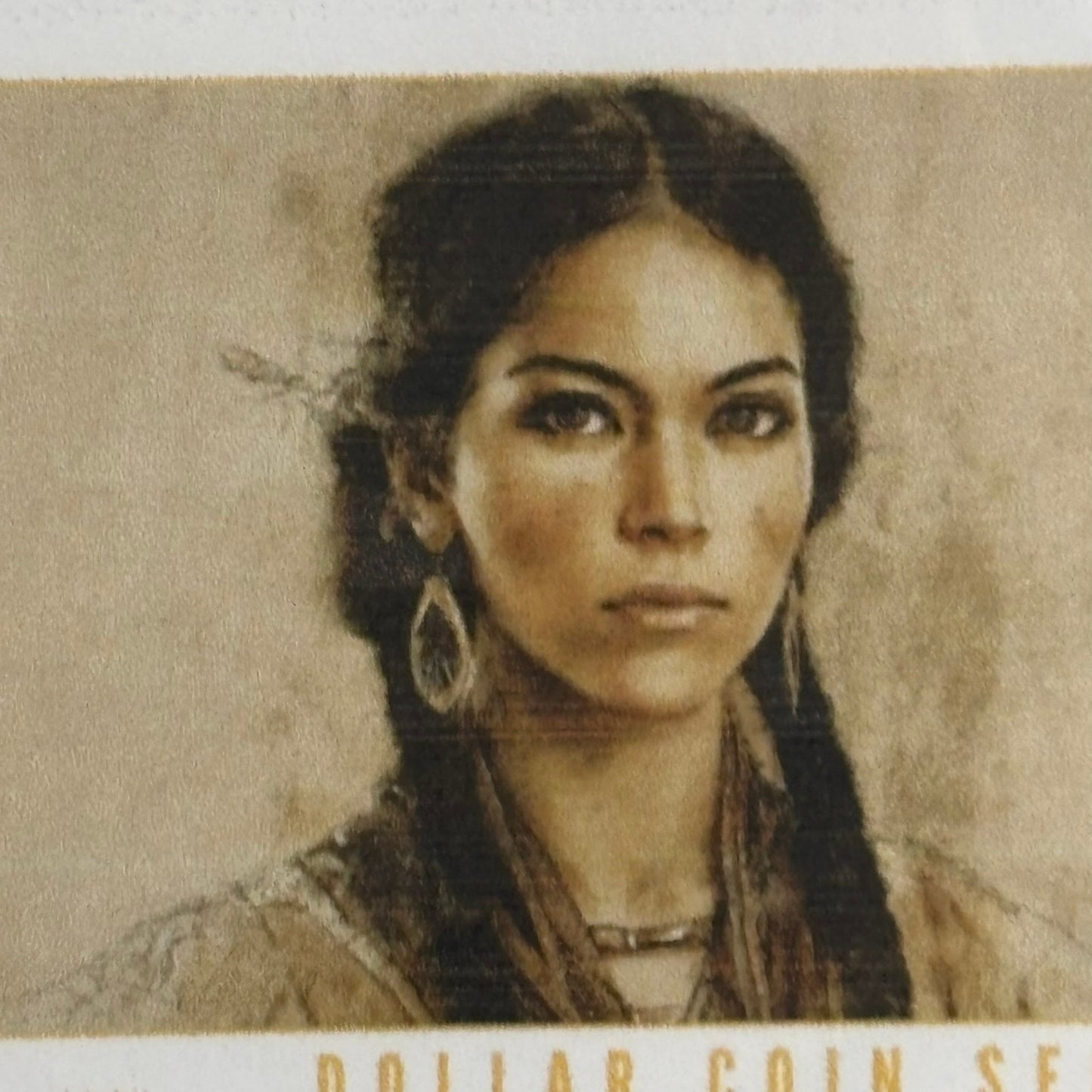 2004 U.S Dollar - Sacagawea Collection